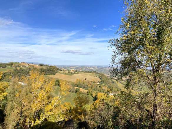 casa a schiera di testa con corte esclusiva