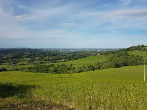 Casale da ristrutturare nelle campagne di Sant'Angelo in Pontano