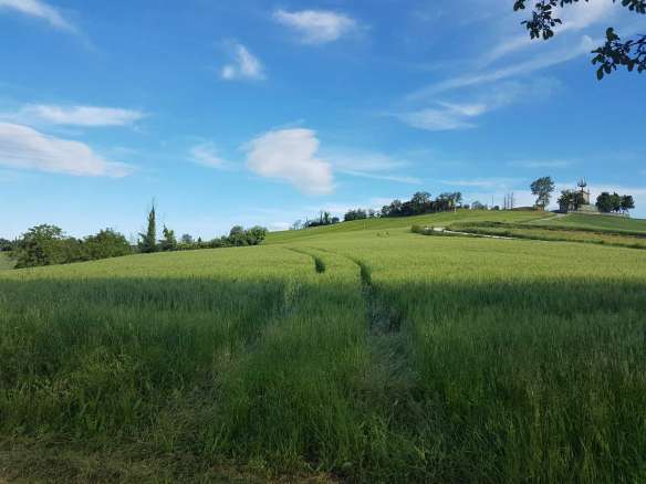 Casale da ristrutturare nelle campagne di Sant'Angelo in Pontano