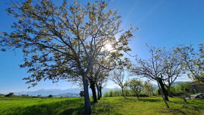 Casale da ristrutturare nelle campagne di Sant'Angelo in Pontano