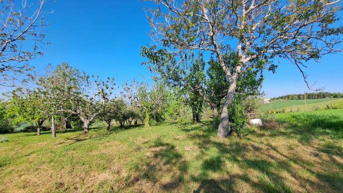 Casale da ristrutturare nelle campagne di Sant'Angelo in Pontano