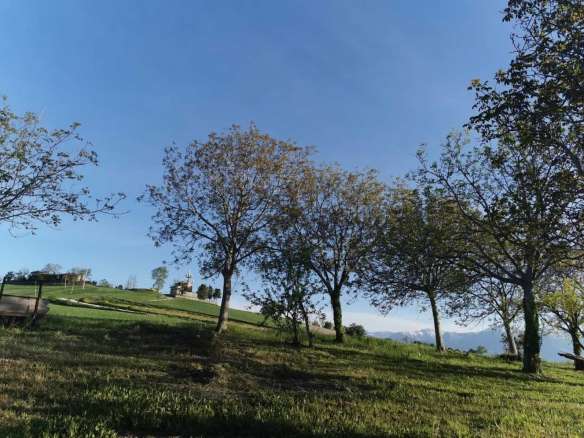 Casale da ristrutturare nelle campagne di Sant'Angelo in Pontano