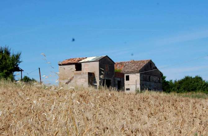 Podere da restaurare Monte Lupone