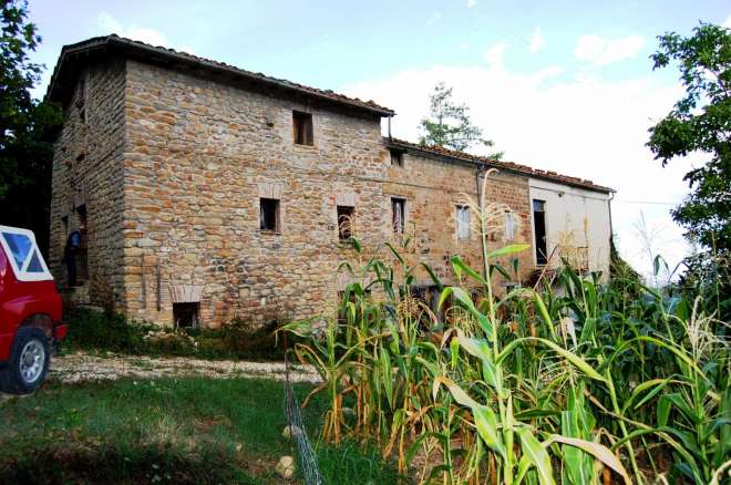 farmhouse olive grove gualdo