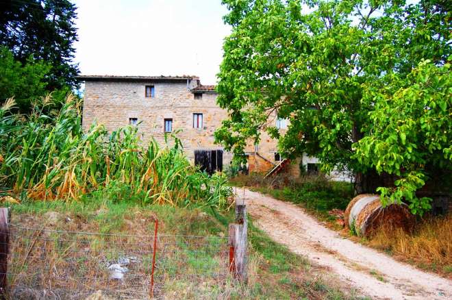 farmhouse olive grove gualdo