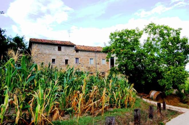 farmhouse olive grove gualdo