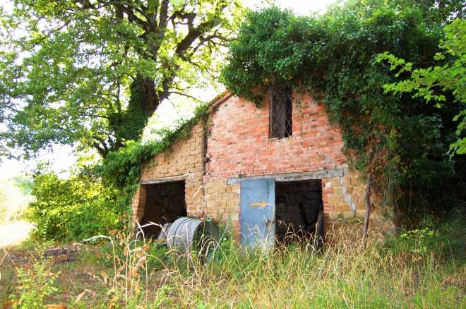 farmhouse olive grove gualdo