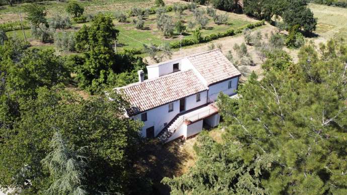 Farmhouse sant' elpidio a mare