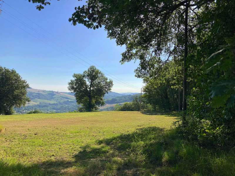 Immobile da ristrutturare con terreno agricolo