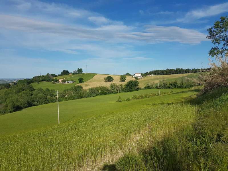 Casale da ristrutturare nelle campagne di Sant'Angelo in Pontano