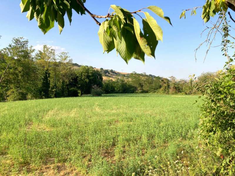 Casale a Collina con ampia corte e accessori