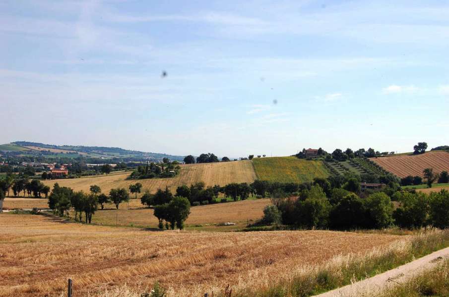 Podere da restaurare Monte Lupone