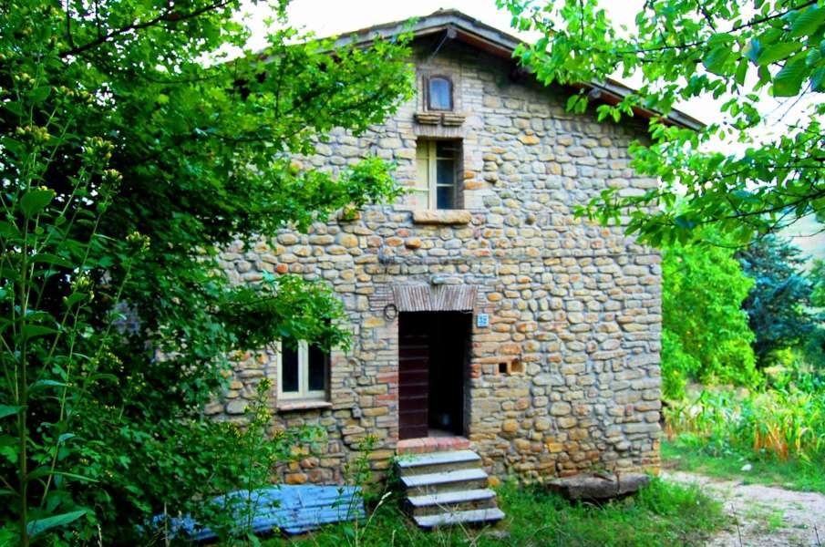 farmhouse olive grove gualdo