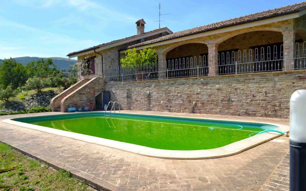 Single house with garden and pool for sale in the countryside of Cingoli, Le Marche, Italy